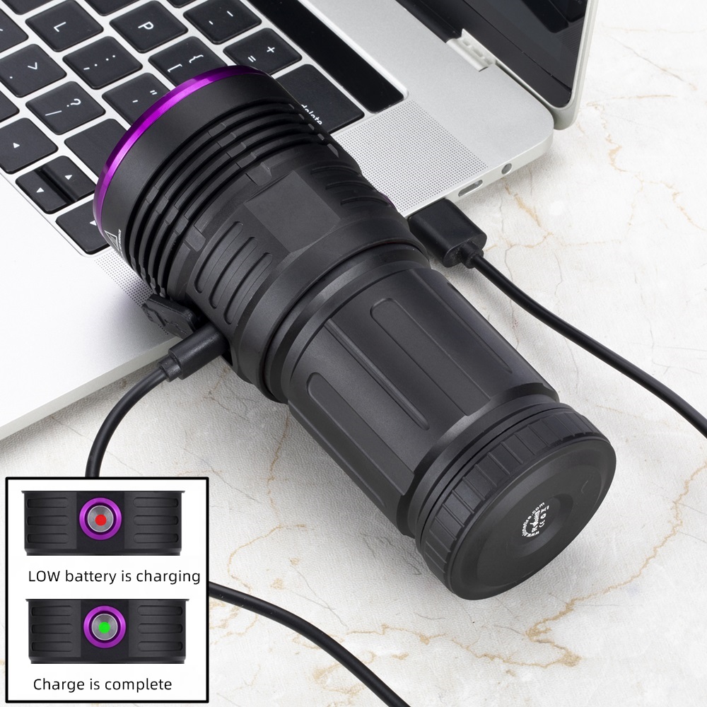 80W 365nm UV Flashlight Ultrav - Photography Lighting For Food recension och pris
